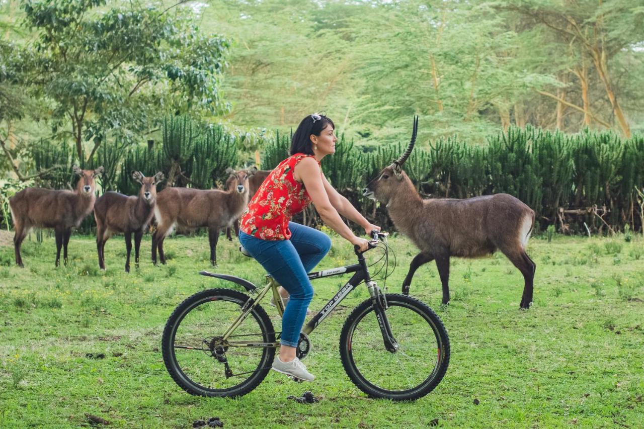 Enashipai Resort & Spa Naivasha Dış mekan fotoğraf